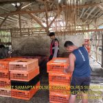 Polsek Baros Efektifkan Sambang Rumah Potong Ayam Antisipasi Kelangkaan Jelang Idul Adha