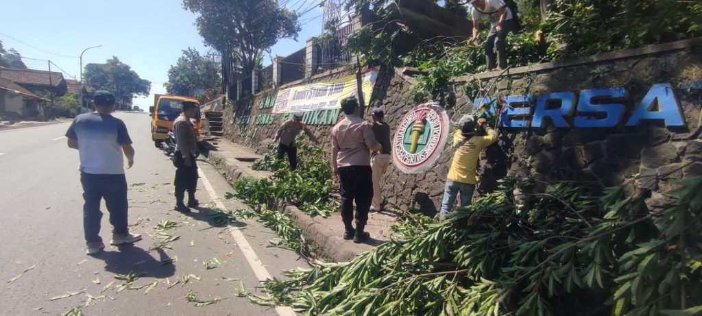 Polsek Leles Evakuasi Pohon Yang Tumbang Ke Jalan Raya