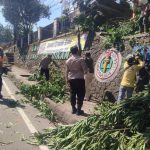 Polsek Leles Evakuasi Pohon Yang Tumbang Ke Jalan Raya