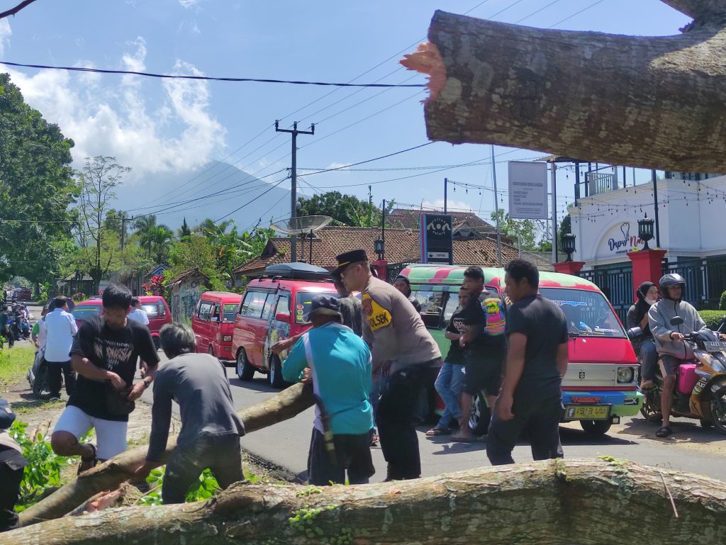 Polsek Kadudampit Polres Sukabumi Kota Cek Lokasi Pohon tumbang