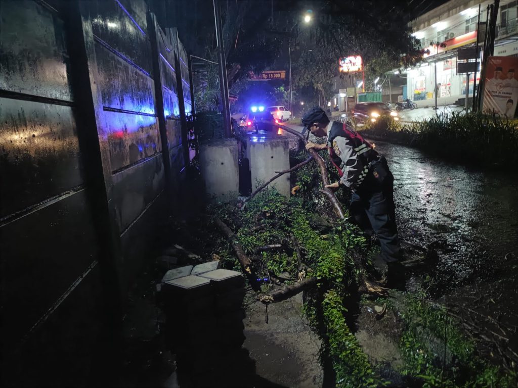 Hujan deras yang melanda wilayah Sukabumi dan sekitarnya Sejak Selasa siang (5/11/24) mengakibatkan pohon berukuran sedang tumbang