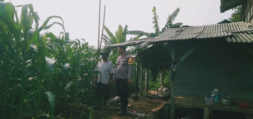 Bhabinkamtibmas Desa Warnasari Polsek Sukabumi Polres Sukabumi Kota Melaksanakan Kegiatan Monitoring Perkarangan Pangan Bergizi di Desa Warnasari Kecamatan Sukabumi, Kamis (14/11/2024) Siang.