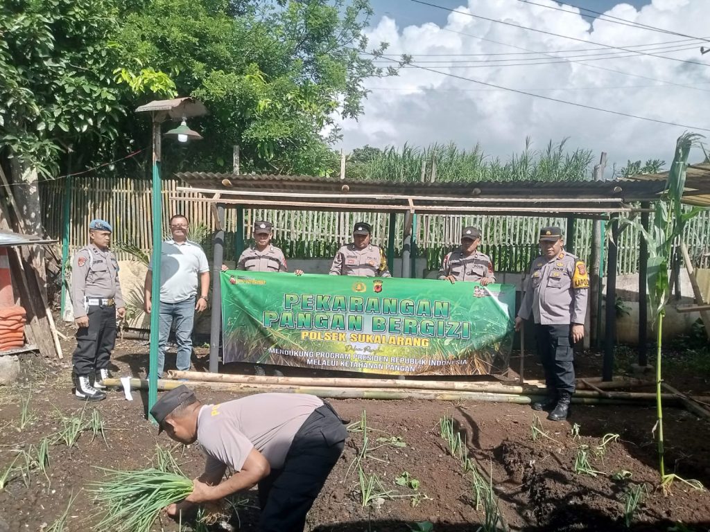 Dukung Program Ketahanan Pangan , Polsek Sukalarang Melaksanakan Penyiapan Lahan dan Penanaman Pangan Bergizi