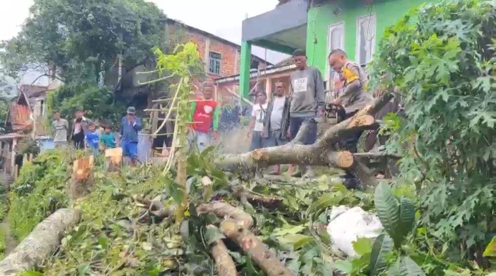 Polsek Sukaraja Bripka Erwin Trissa bersama warga  mengevakuasi pohon tumbang