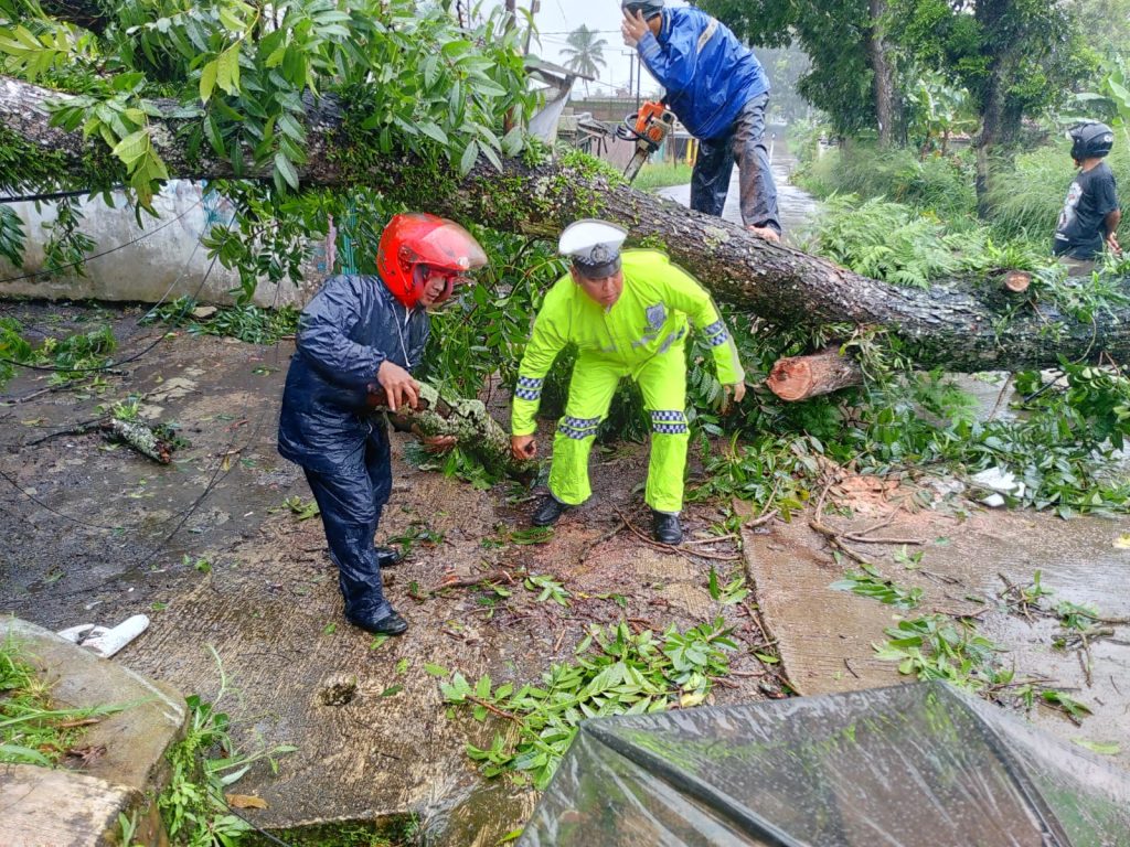 Polsek Sukalarang Sigap Tangani Pohon Tumbang Akibat Hujan dan Angin Kencang