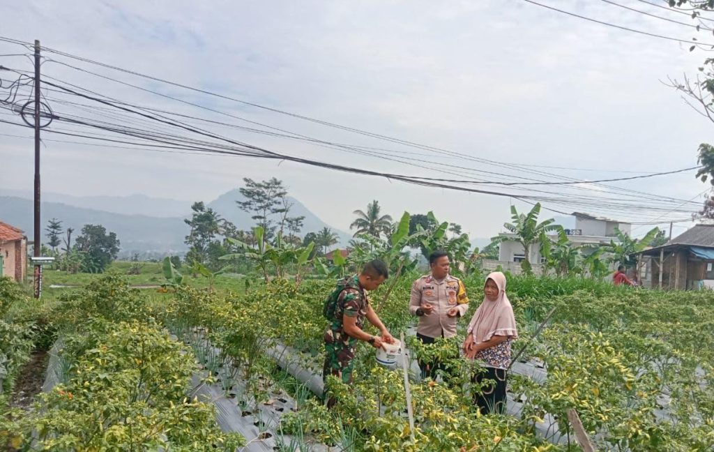 Bhabinkamtibmas Polsek Leles Lakukan Pembinaan Ketahanan Pangan di Desa Lembang