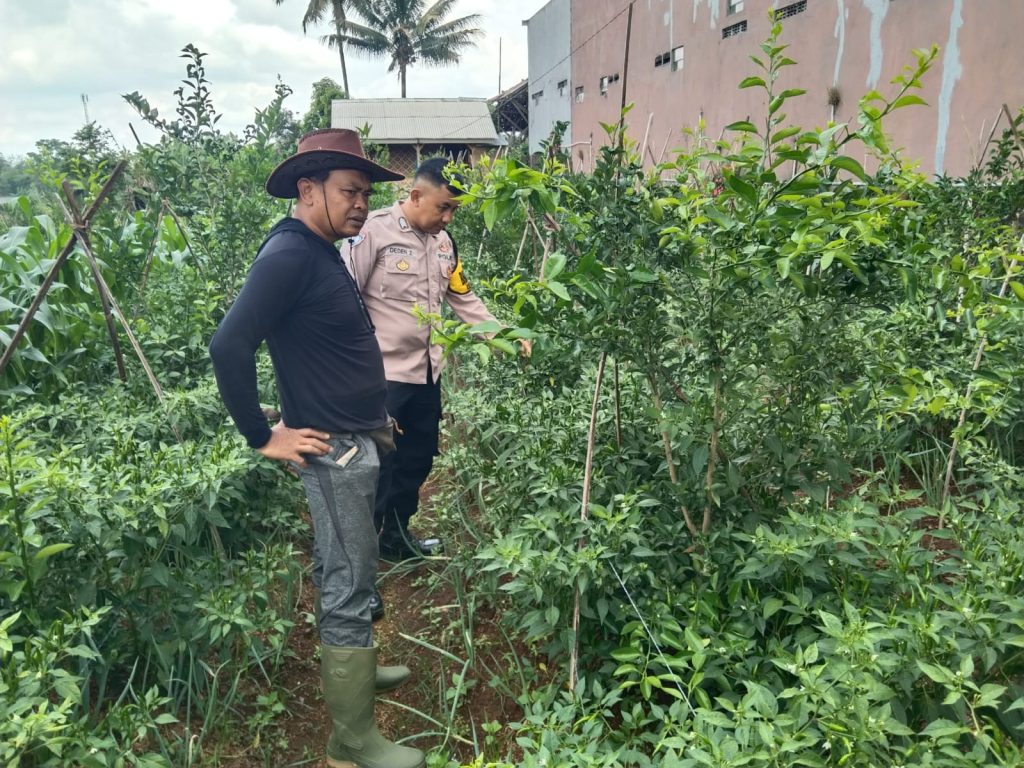 Polsek Sukabumi Cek Lokasi Ketahanan Pangan