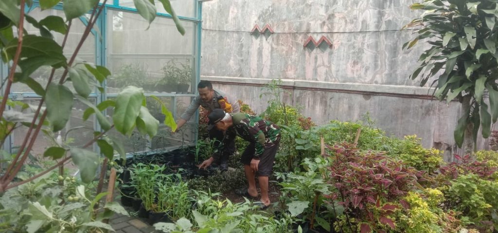 Giat program Ketahanan Pangan dilingkungan Rumah percontohan (Polsek Cibeureum Polres Sukabumi Kota)