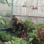 Giat program Ketahanan Pangan dilingkungan Rumah percontohan (Polsek Cibeureum Polres Sukabumi Kota)