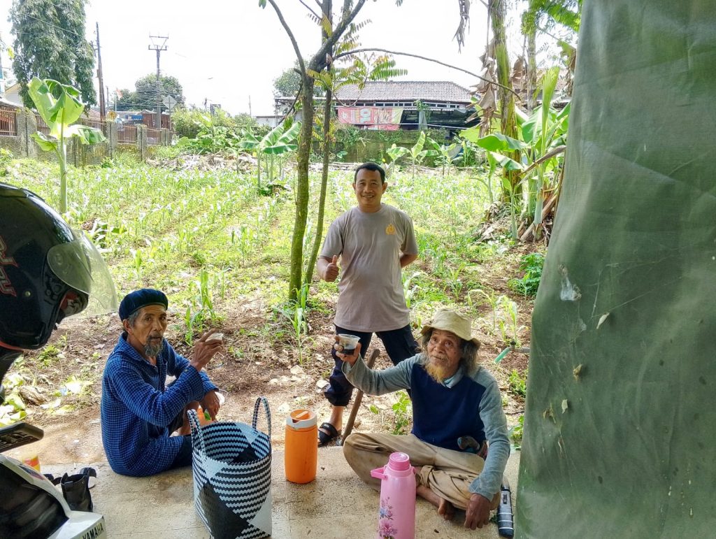 Ketahanan Pangan. Polsek Baros Sulap Lahan Non Produktif  Jadikan Tanaman Jagung