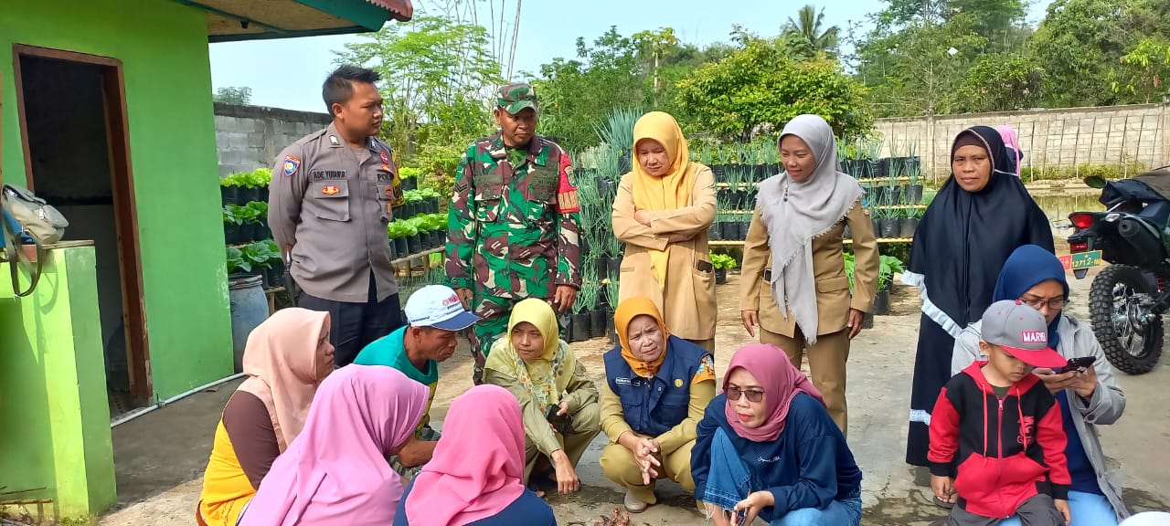 Polsek Banyuresmi Dukung Ketahanan Pangan, Monitoring Langsung Lahan Jagung di Desa Sukaratu