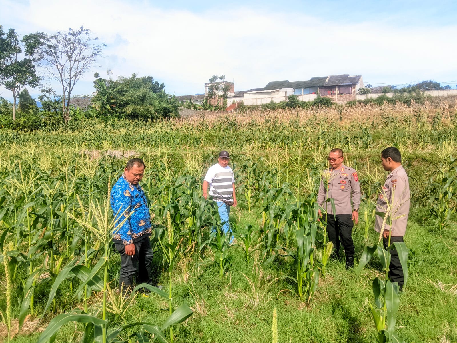 Kapolsek Garut Kota Monitoring Lahan Ketahanan Pangan di Kelurahan Cimuncang