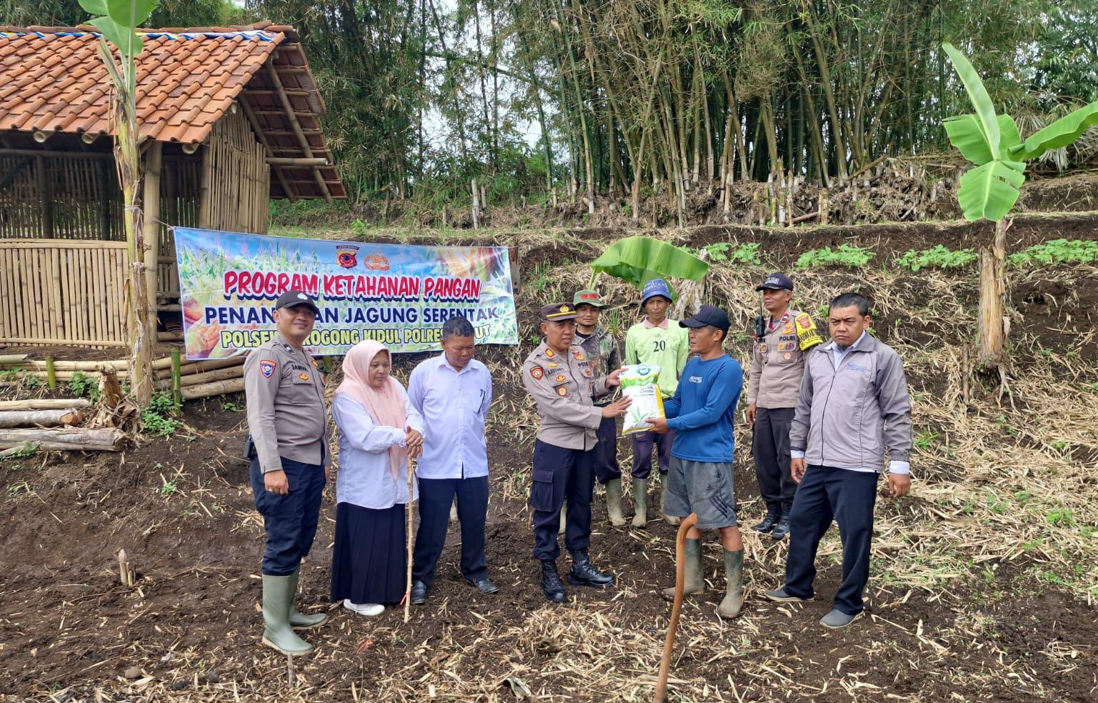 Polres Garut Bersama Polsek Jajaran Tinjau Lahan Pangan Jagung, Wujud Dukungan Program Ketahanan Pangan Nasional