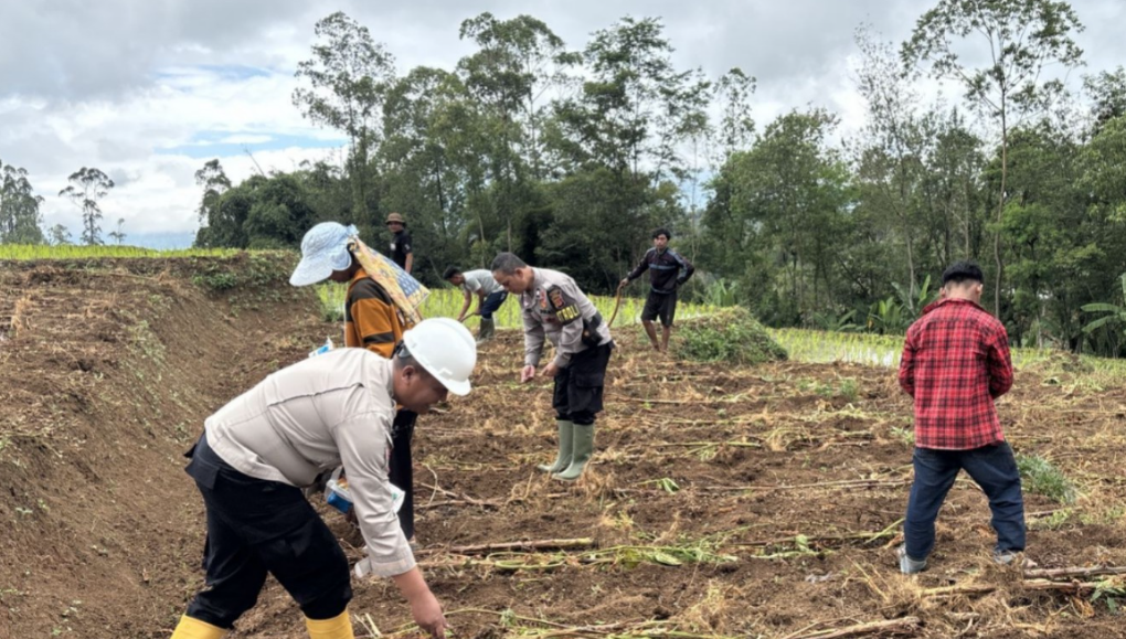 Polsek Pasirwangi Tanam Jagung di Lahan 1 Hektar, Dukung Program Ketahanan Pangan