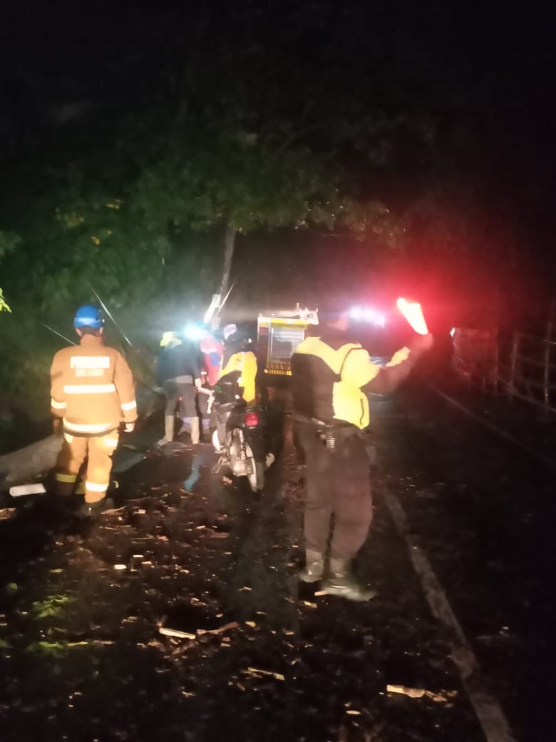 Polsek Cisurupan Tangani Cepat Pohon Tumbang di Jalan Raya Cisurupan–Cikajang