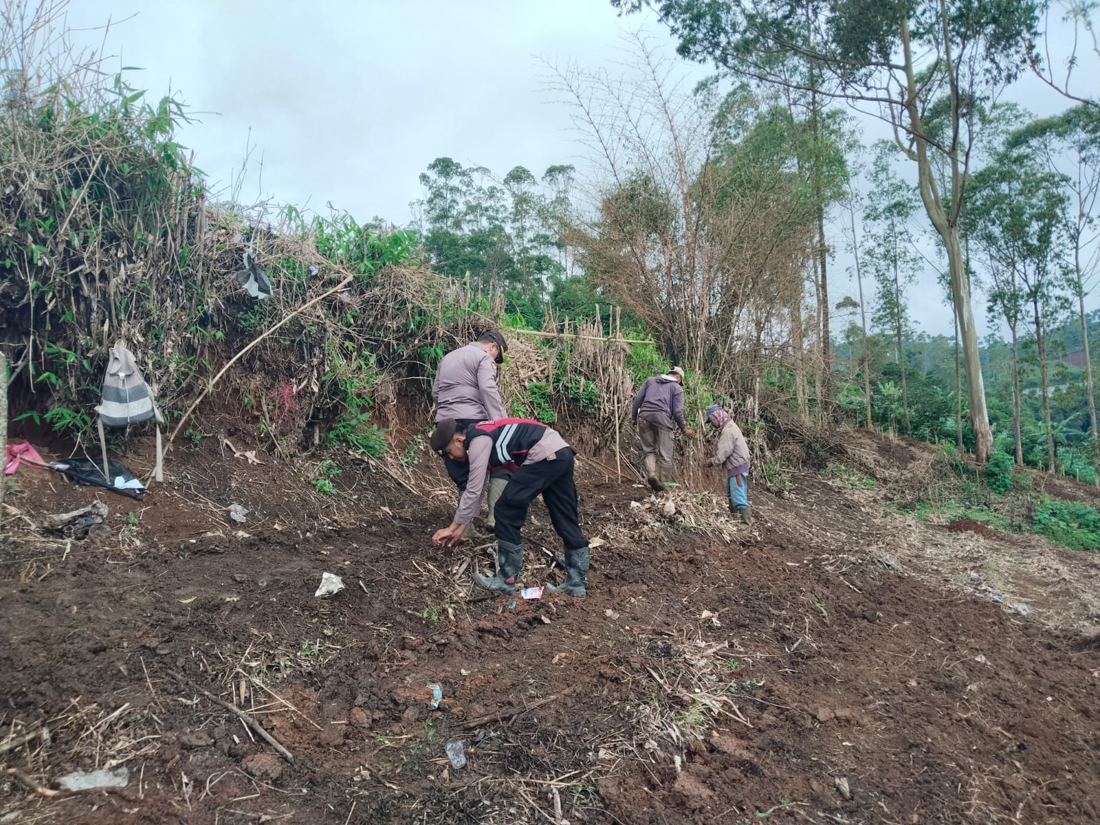Kapolsek Cikajang Bersama BUMDES Cahaya Bodas Gelar Penanaman Jagung di Lahan LBS, Dukung Program Ketahanan Pangan