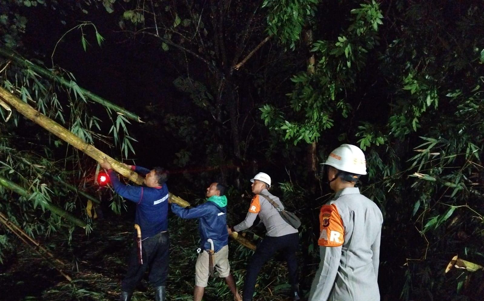 Reaksi Cepat Tim SAR Sat Brimob Polda Jabar Evakuasi Pohon Tumbang di Sumedang Reaksi Cepat Tim SAR Sat Brimob Polda Jabar Evakuasi Pohon Tumbang di Sumedang