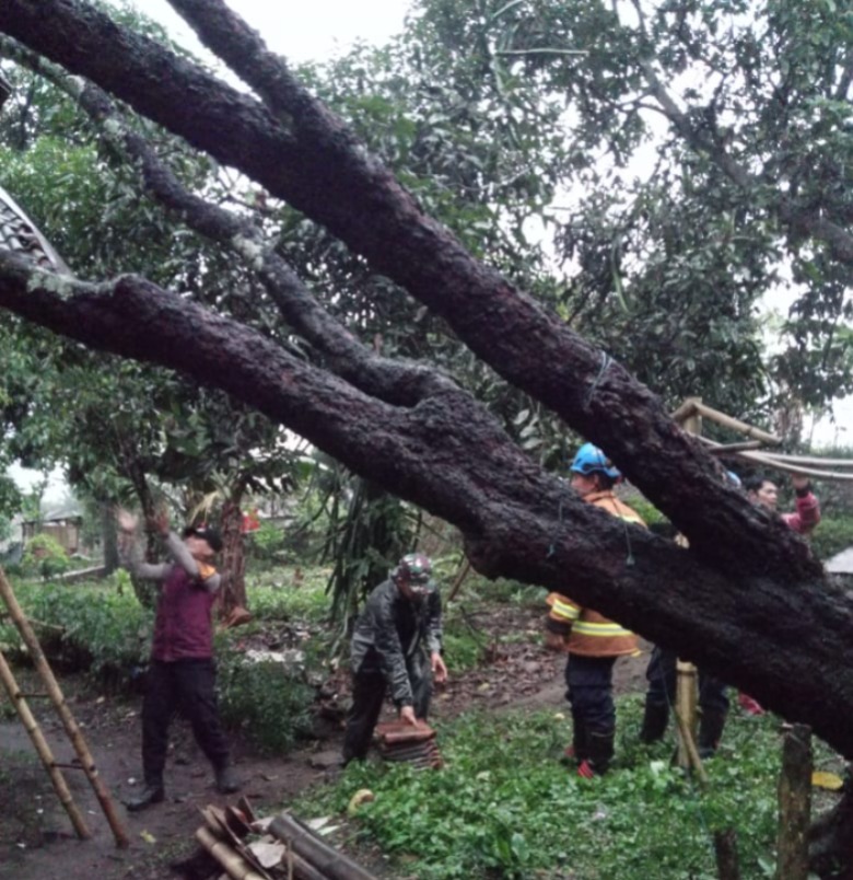 Polsek Banyuresmi Evakuasi Pohon Tumbang yang Menimpa Rumah Warga Akibat Hujan dan Angin Kencang