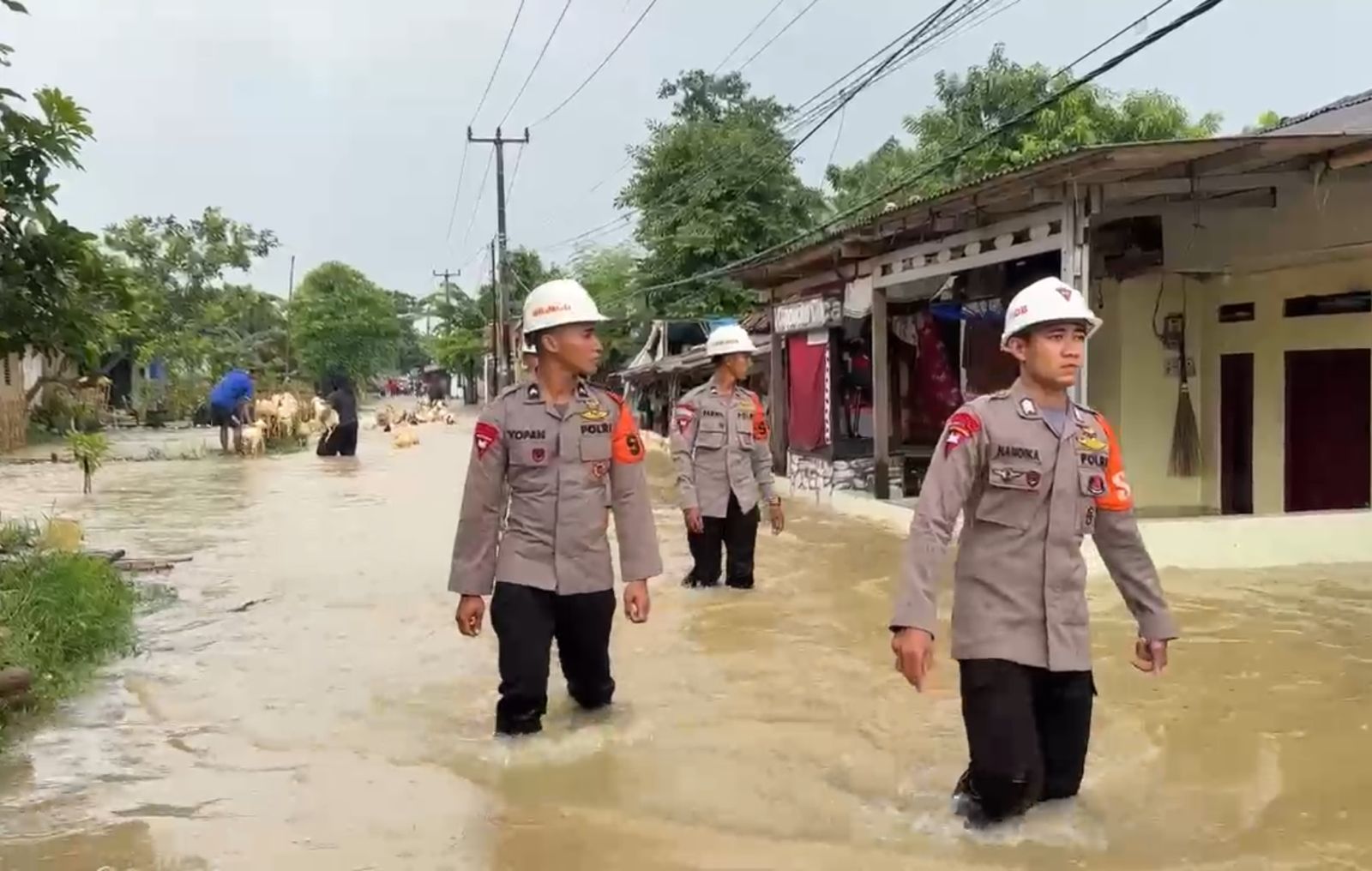 Kesigapan Tim SAR Sat Brimob Polda Jabar, Evakuasi Korban Banjir Ke Tempat Pengungsian