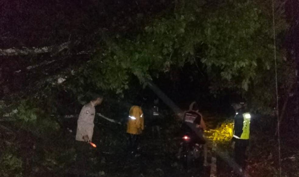 Jalan Raya Bungbulang–Caringin Tertutup Longsor, Kapolsek Caringin Turun Langsung Cek Lokasi
