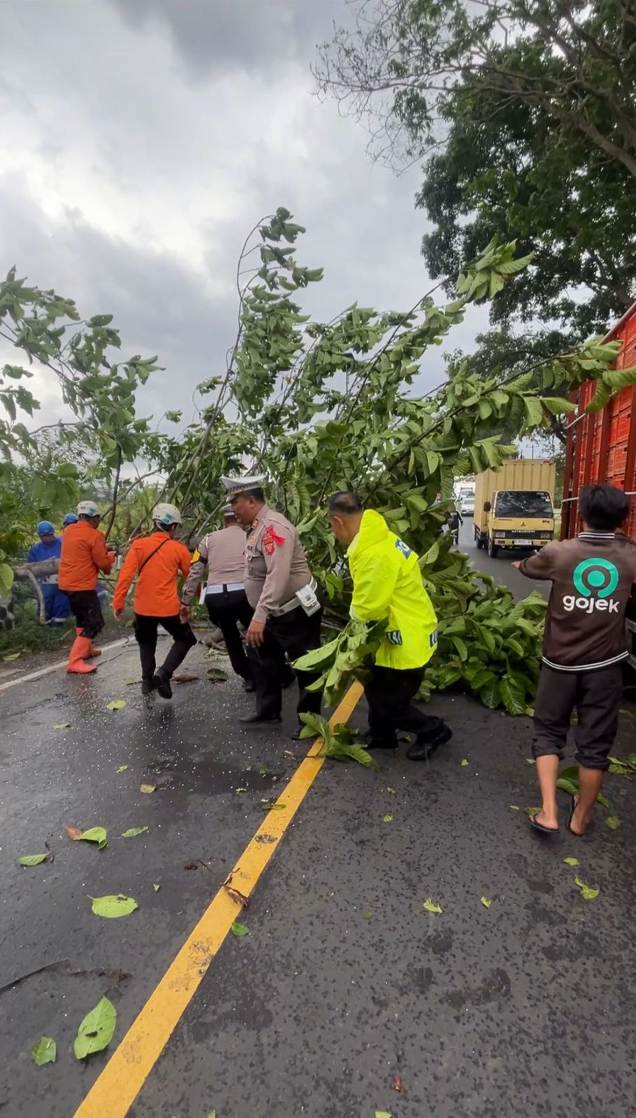 Respons Cepat Satlantas Polres Garut Tangani Pohon Tumbang di Jalur Limbangan, Arus Lalu Lintas Tetap Lancar