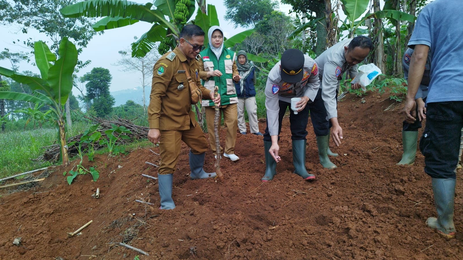 Dukung Ketahanan Pangan Nasional, Polsek Cileunyi Bersama Desa Melatiwangi Tanam Jagung Hibrida