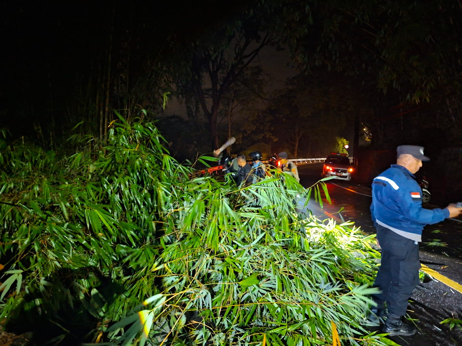 Penanganan Pohon Bambu Tumbang di Pamulihan, Tim Gabungan Sigap Amankan Lokasi