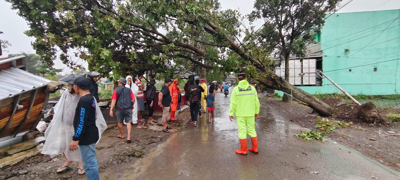 Gerak Cepat Polisi Evakuasi Pohon Tumbang, Arus Lalu Lintas Kembali Normal