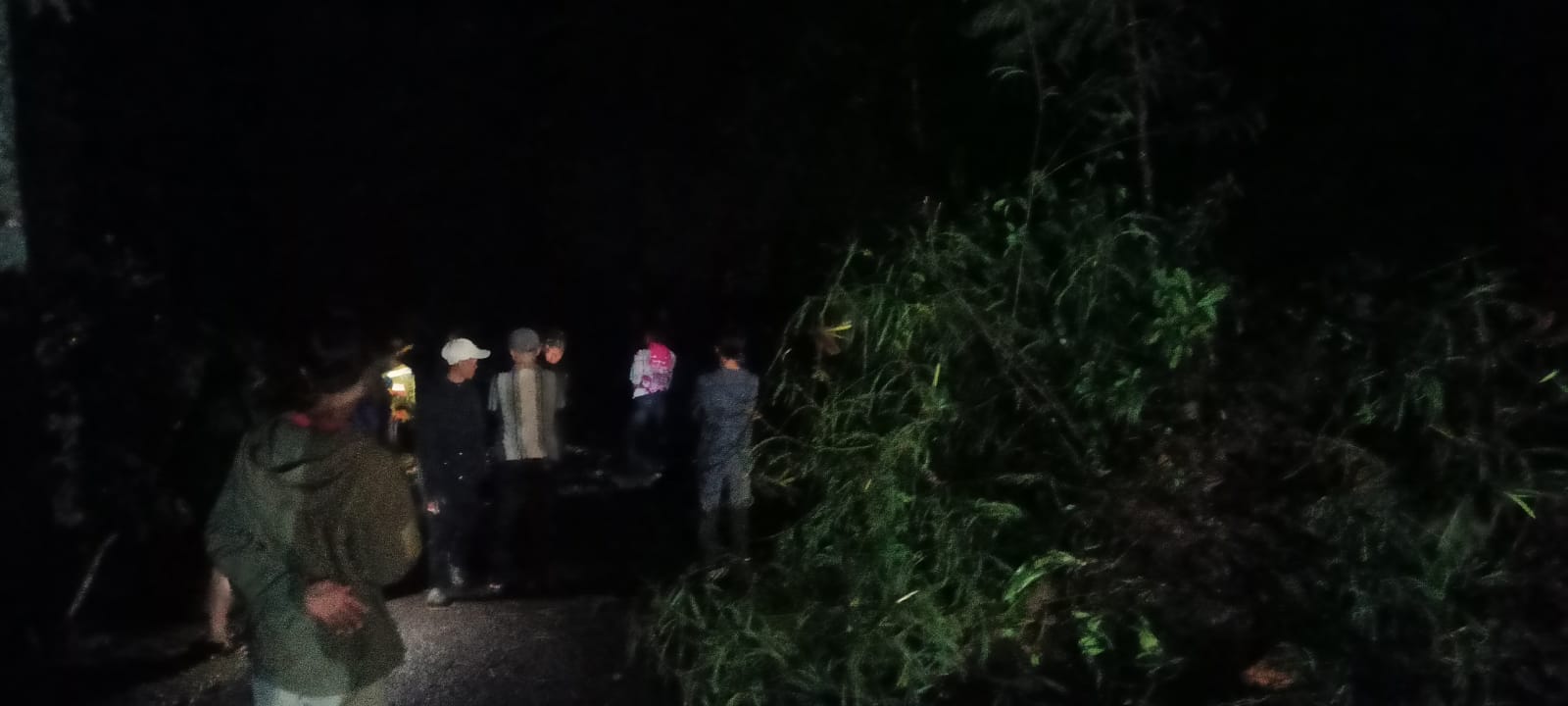 Gerak Cepat!! Polisi Tangani Pohon Tumbang dan Longsor, Arus Lalu Lintas Kembali Normal