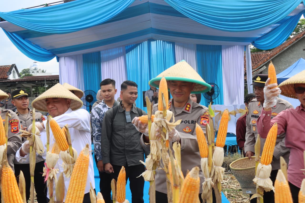 Ketahanan Pangan Polres Garut Polda Jabar: Panen Raya Jagung Serentak Wujud Nyata Dukung Swasembada Pangan Nasional 2026