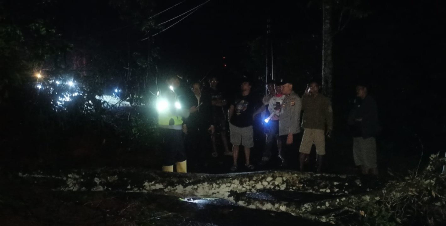 Gerak Cepat!! Polisi Tangani Pohon Tumbang dan Longsor, Arus Lalu Lintas Kembali Normal