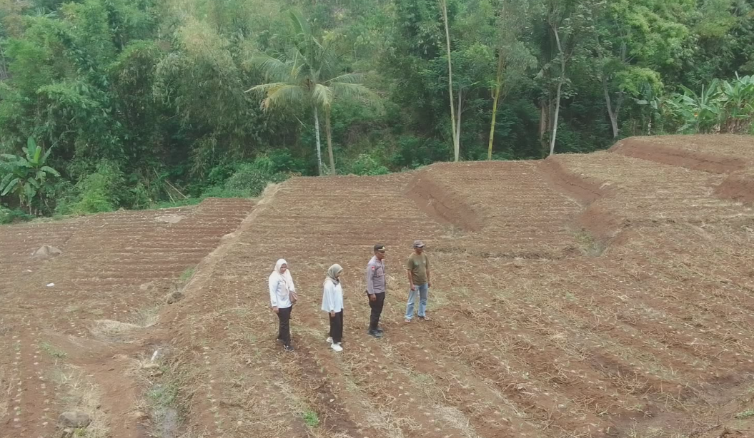 Polres Garut Sulap Lahan Tidak Produktif Jadi Kebun Jagung 1 Hektare, Dukung Ketahanan Pangan