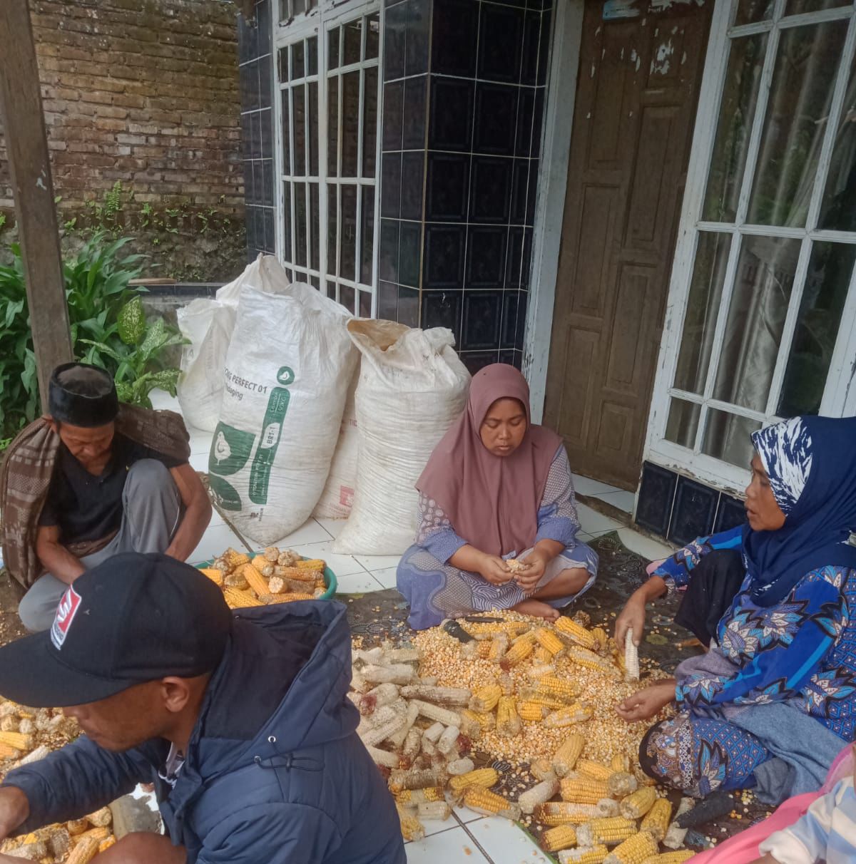 Polri Monitoring Pasca Panen Jagung di Cisurupan, Pastikan Hasil Panen Petani Terserap Optimal Polri Monitoring Pasca Panen Jagung di Cisurupan, Pastikan Hasil Panen Petani Terserap Optimal