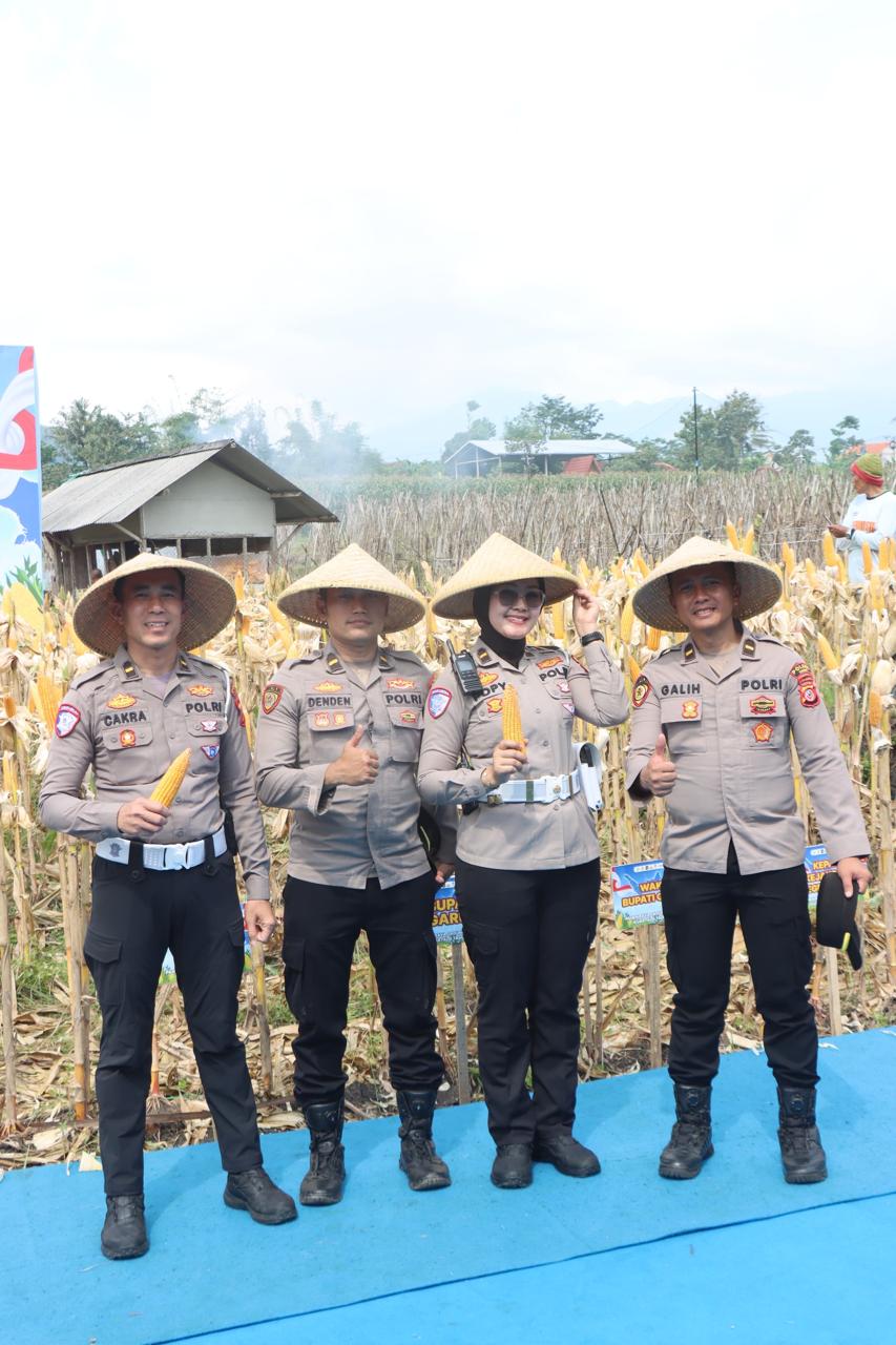 Lahan 1 Hektare Hasilkan 5 Ton Jagung, Polres Garut Apresiasi Semangat Petani Sukawening. Lahan 1 Hektare Hasilkan 5 Ton Jagung, Polres Garut Apresiasi Semangat Petani Sukawening.