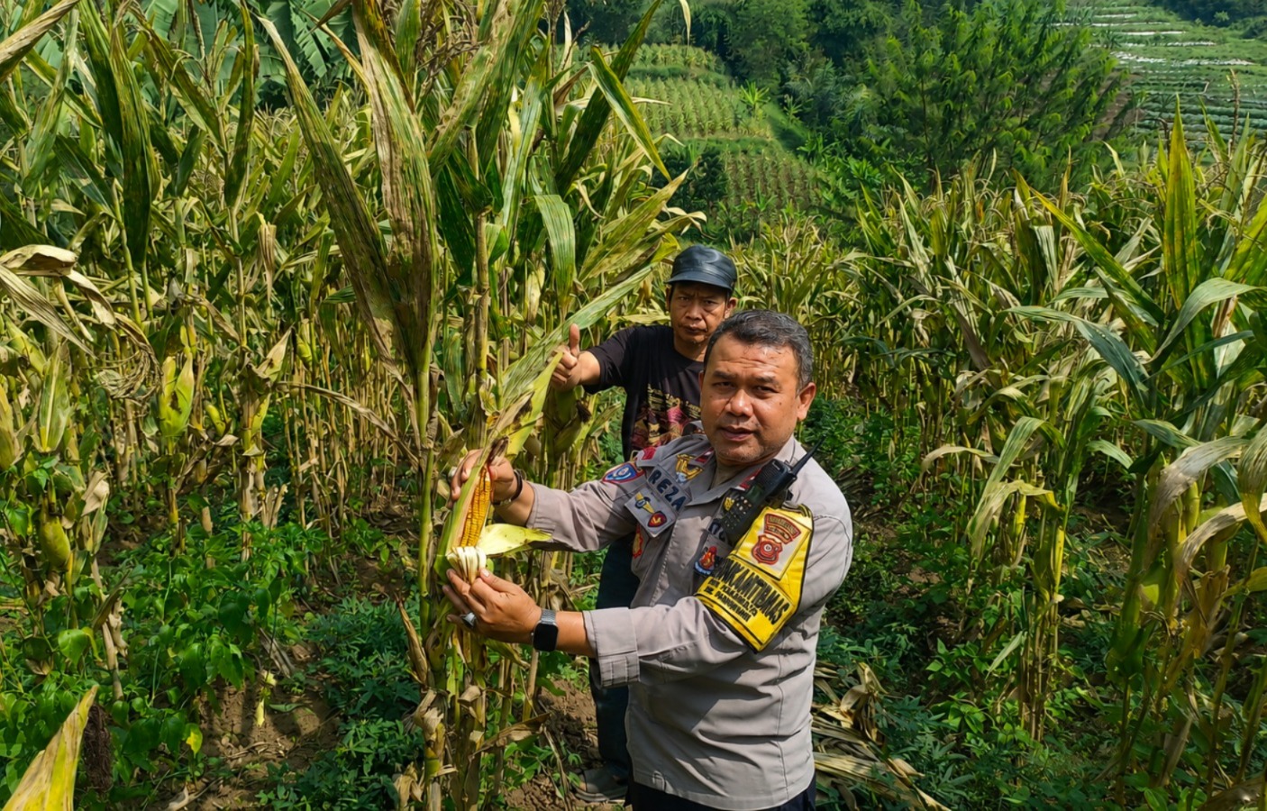 Monitoring Dan Pengecekan Tanaman Jagung Binaan Polri Kwartal I Tahun 2026 Dalam Rangka Mendukung Program Ketahanan Pangan Monitoring Dan Pengecekan Tanaman Jagung Binaan Polri Kwartal I Tahun 2026 Dalam Rangka Mendukung Program Ketahanan Pangan