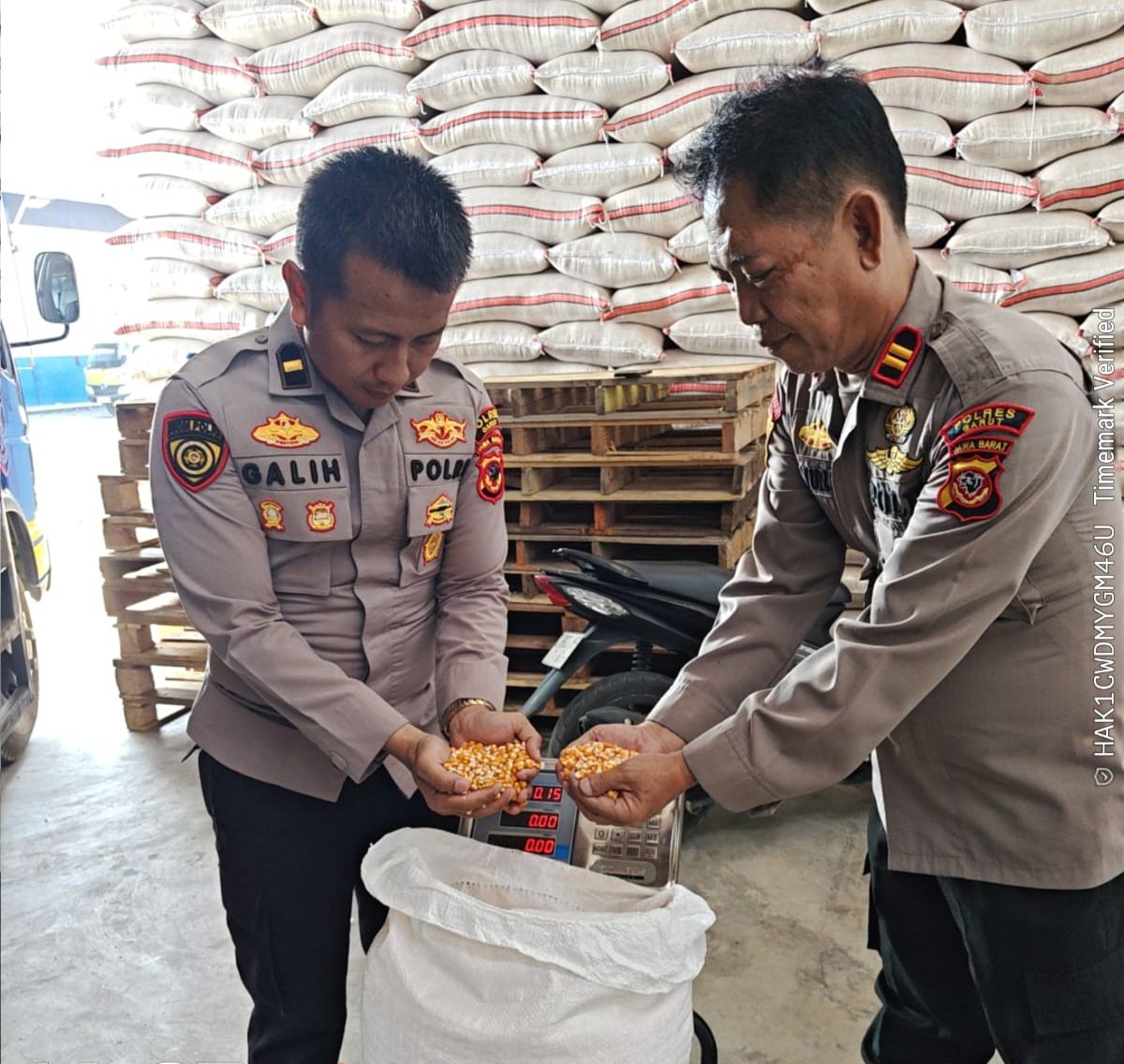 Polri Kawal Penyerapan 4 Ton Jagung ke Bulog, Perkuat Ketahanan Pangan Nasional di Garut