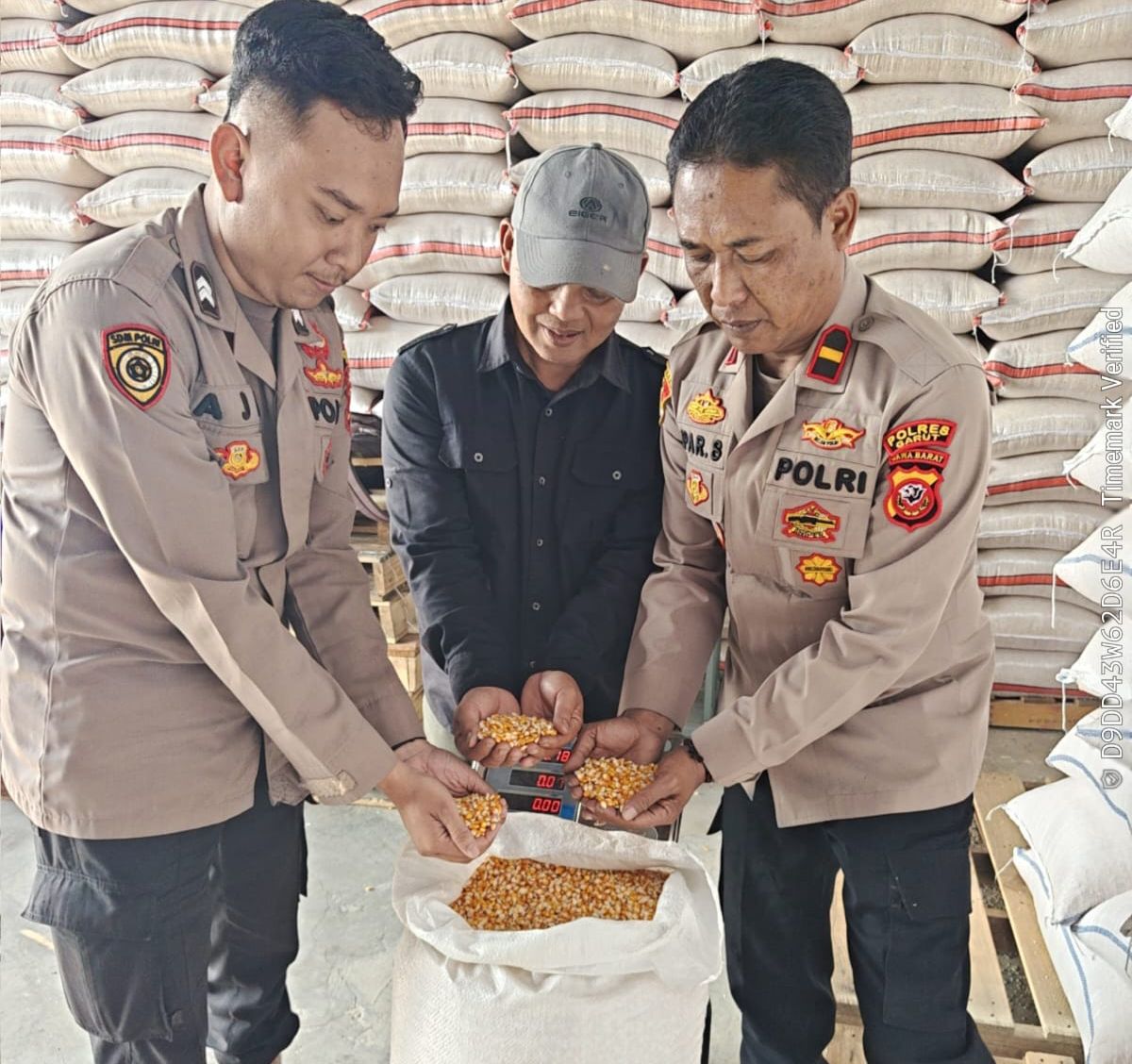 Polres Garut kirim 2 Ton Jagung ke Gudang Bulog, Dukung Ketanahan Pangan Polres Garut kirim 2 Ton Jagung ke Gudang Bulog, Dukung Ketanahan Pangan