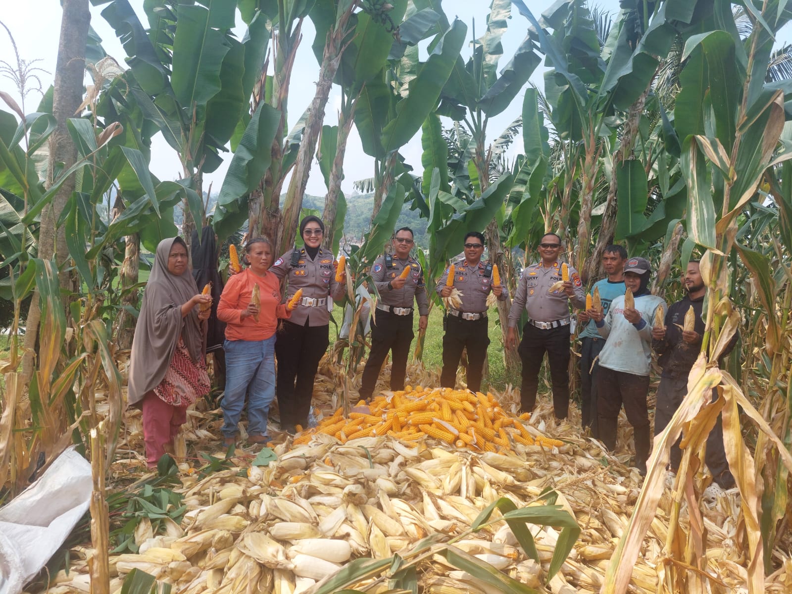 Polres Garut Monitoring Lahan Jagung di Jalan Ibrahim Adjie, Wujud Dukungan Nyata Program Ketahanan Pangan Nasional