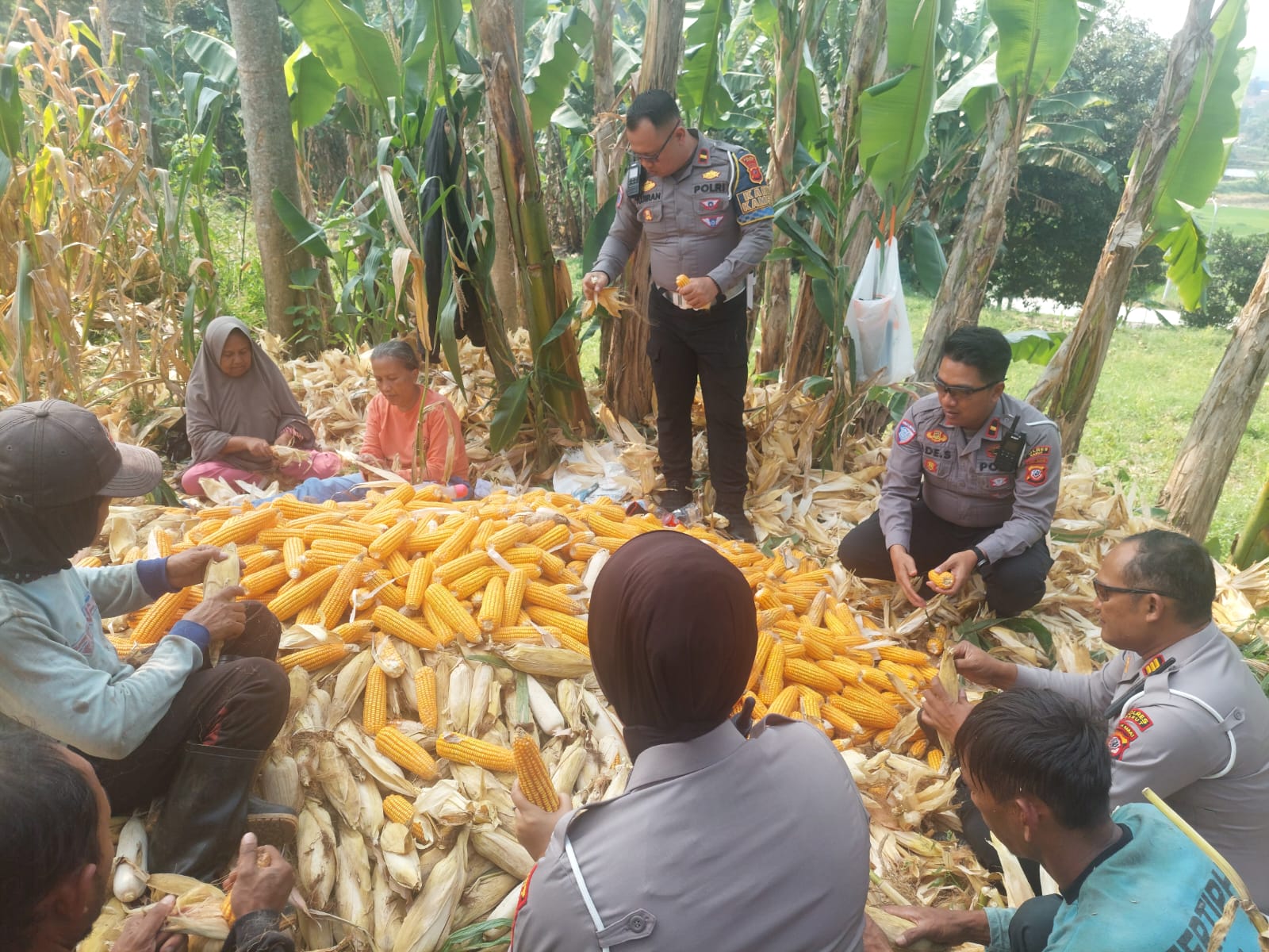 Dukung Swasembada Pangan, Polres Garut Monitoring Pertumbuhan Jagung di Jalan Ibrahim Adjie