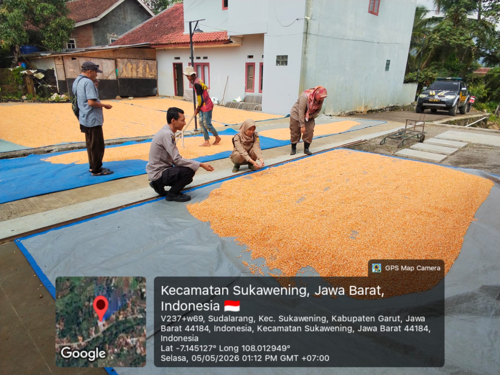 Dukung Ketahanan Pangan Nasional, Polsek Sukawening Kawal Pengelolaan Hasil Panen Jagung Petani