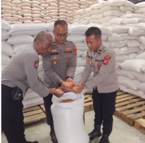 Polsek Pameungpeuk Dukung Ketahanan Pangan, Panen 4 Ton Jagung Hasil Pembinaan Kelompok Tani