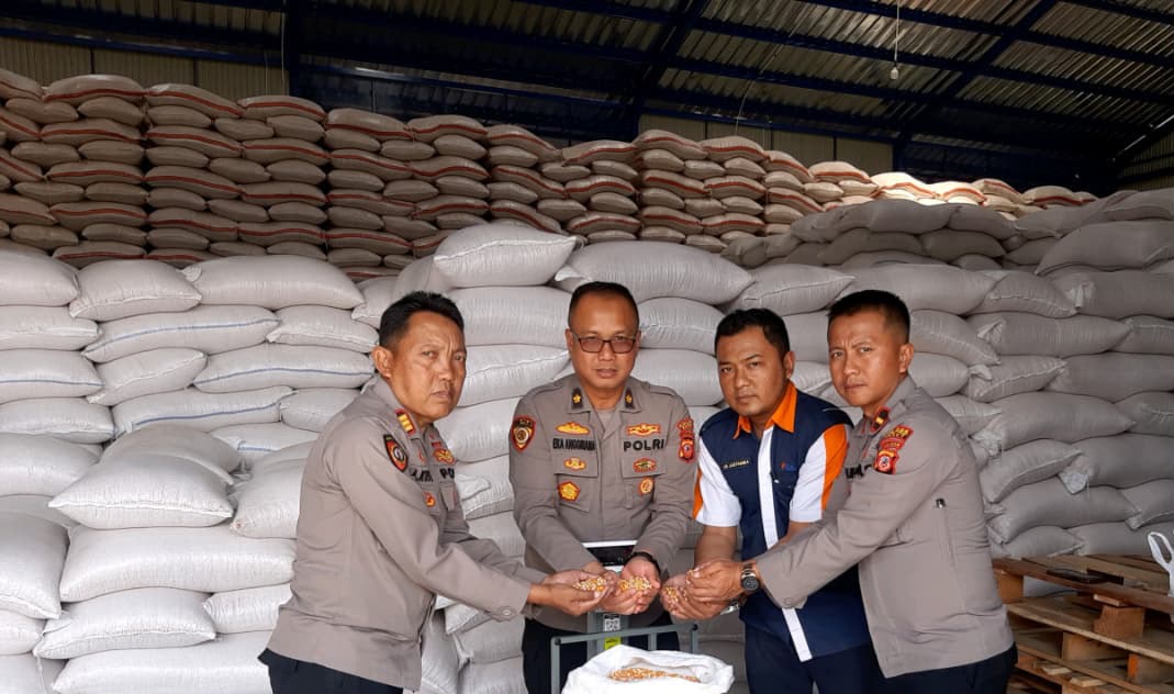 Polri Kawal Ketahanan Pangan, Hasil Panen Jagung Garut Terserap Optimal