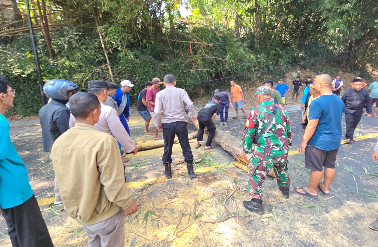 Pohon Tumbang Tutup Jalur Nasional, Polisi Bergerak Cepat Lakukan Evakuasi