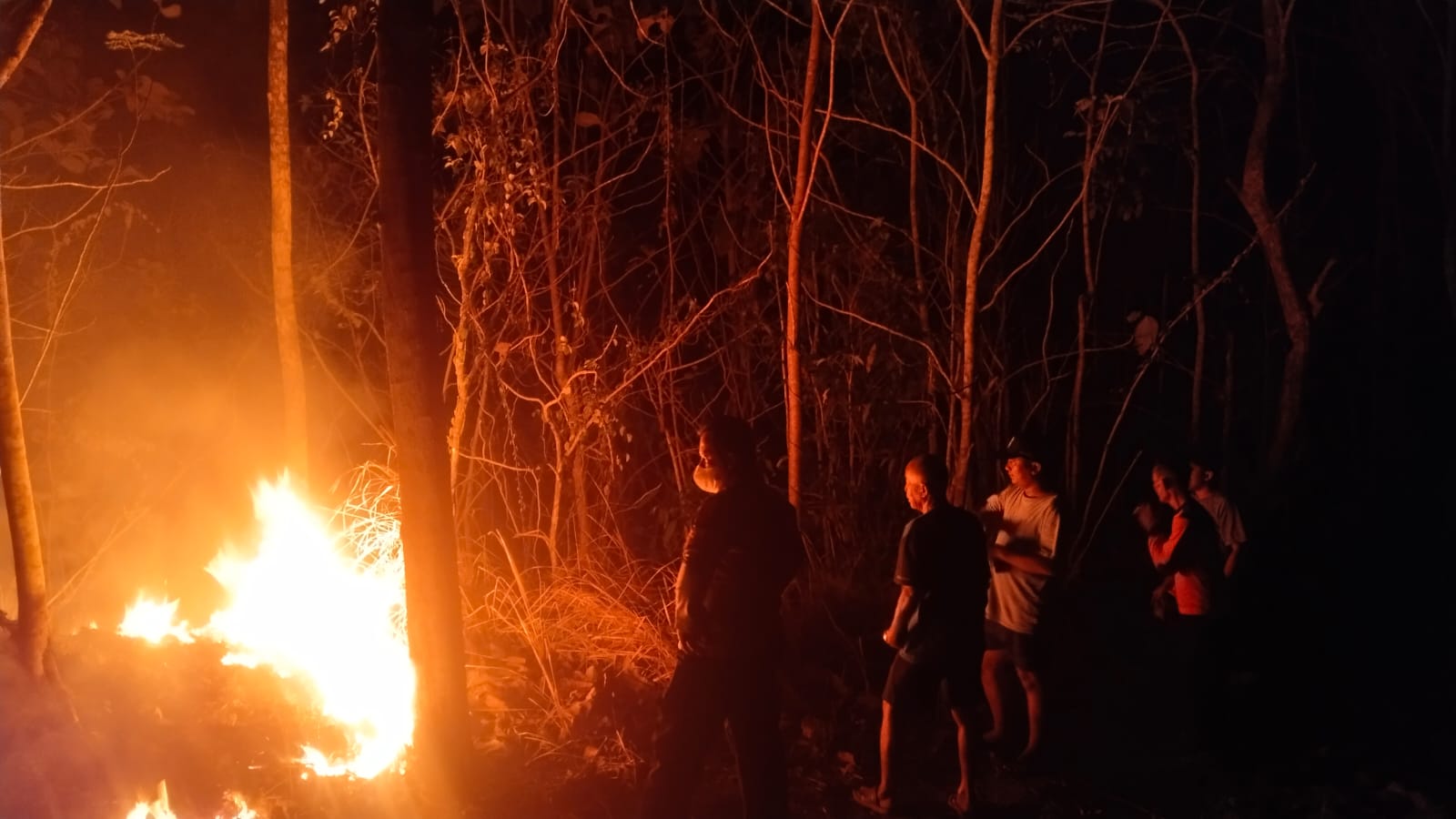 Kebakaran Lahan Perkebunan di Perbatasan Ciamis– Pangandaran, Polisi dan Warga Bahu-Membahu Padamkan Api Kebakaran Lahan Perkebunan di Perbatasan Ciamis– Pangandaran, Polisi dan Warga Bahu-Membahu Padamkan Api